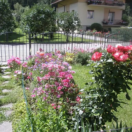 Aprt Val Di Fiemme - Molina Apartment *