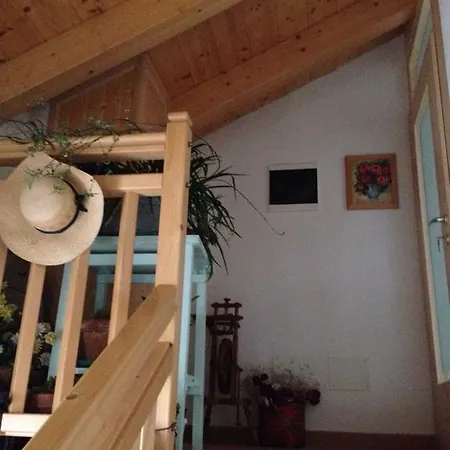 Aprt Val Di Fiemme - Molina Apartment